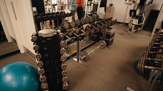 barbells and physical therapy equipment